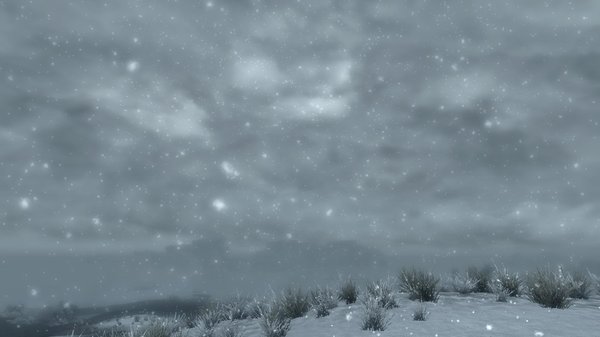 TESV 2020-06-02 17-36-14-47.jpg