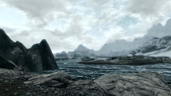 TESV 2020-06-06 18-54-19-41.jpg