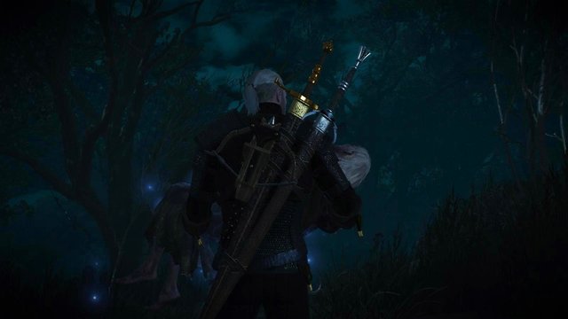 witcher3 2020-06-09 23-48-06-98.jpg