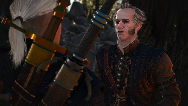 witcher3 2020-06-09 23-02-49-61.jpg