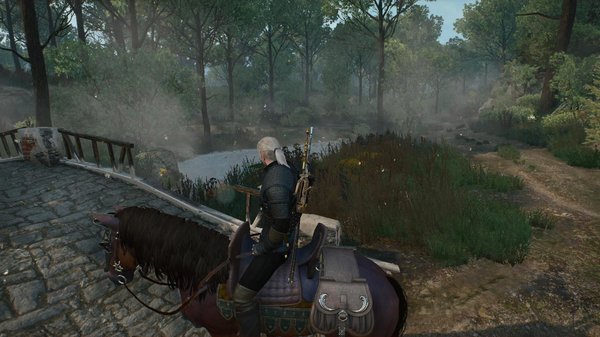 Геральт у речушки.. Ведьмак III  (сборка Торна)