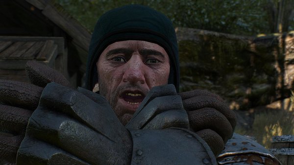 Мне бы бабу, иль фисштек! )) ВЕДЬМАК III (сборка Торна)