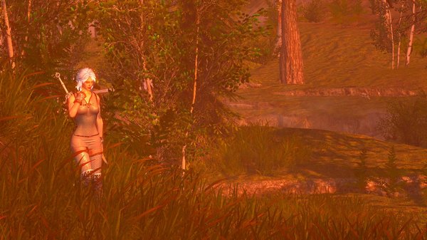 ЦИРИ.. SkyrimSE (сборка 6.0)