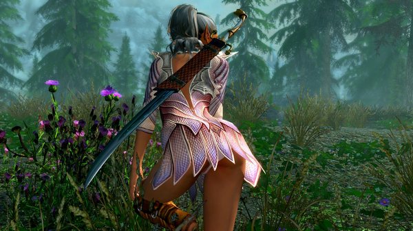 Не лесной, но и не высший эльф появился в Скайрим..