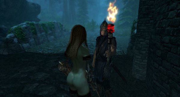 Что это разговаривает со стражником?