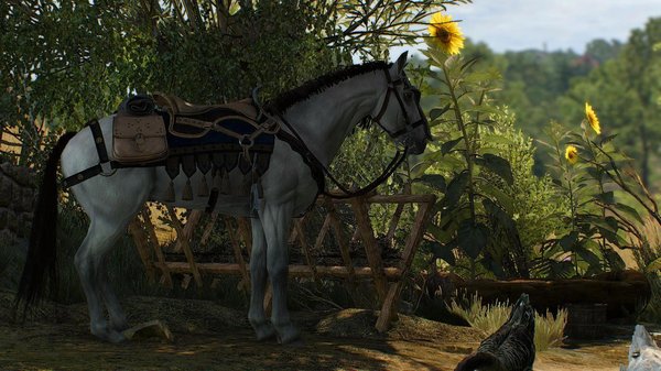 Боевой конь.. Ведьмак III (сборка Торна)