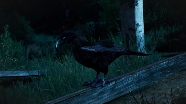 Ворон.. Ведьмак III (сборка Торна)