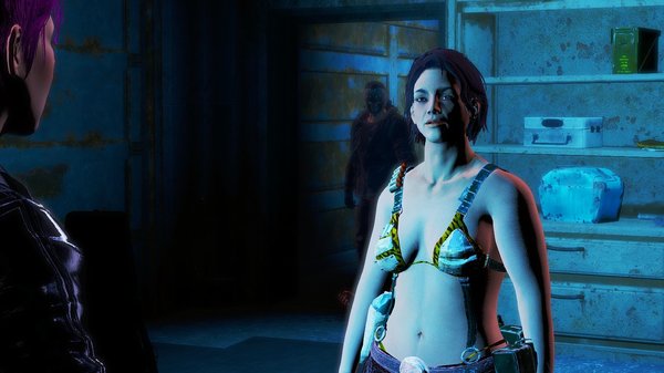 Обменяемся безделушками? Fallout-4 (Сборка 6.4)