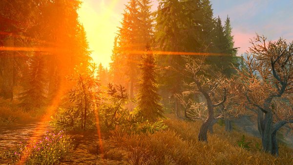 Дорога к Солитьюду.. SkyrimSE (сборка 6.0)