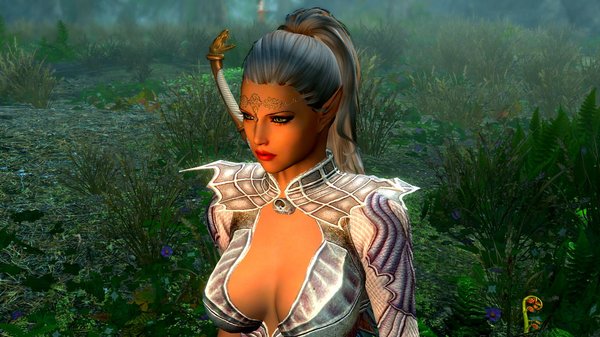 Знакомтесь, её имя - ЭЛЬФИС! SkyrimSE (сборка 6.0)