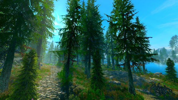 Леса Фолкрита.. SkyrimSE (сборка 6.0)