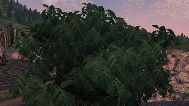 Oblivion 2020-09-17 17-47-10-99.jpg