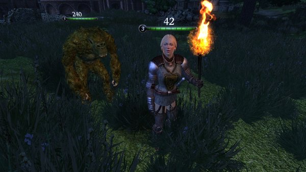 Охранница с ручным троллем...