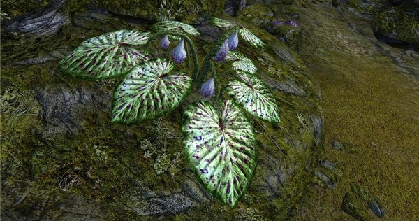 Как живой )) OBLIVION (Сборка 4.0)