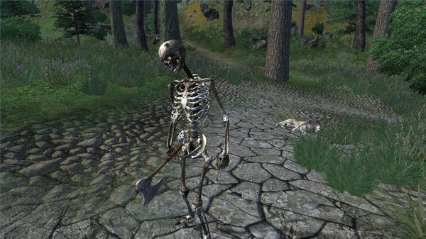 Призывной скелет. OBLIVION (Сборка 4.0)