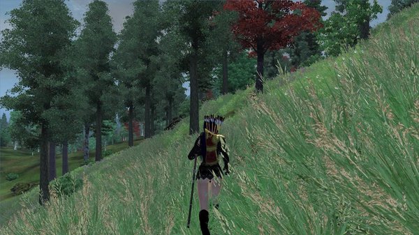 Пешком по землям Сиродила.