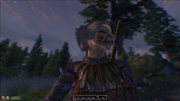 Котейка ночью