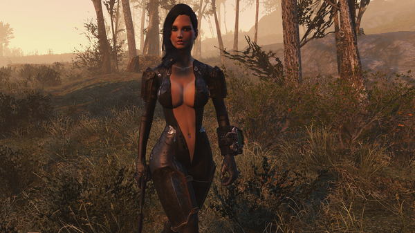 Fallout 4 Screenshot 2020.10.29 - 17.18.10.24.png