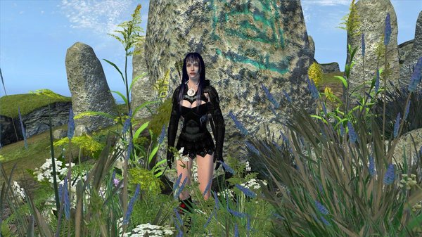 У камня призыва брони.. OBLIVION (Сборка 4.0)