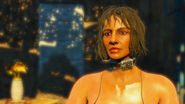 На рынке в Ядер мире.. Fallout-4 (Сборка 6.4)