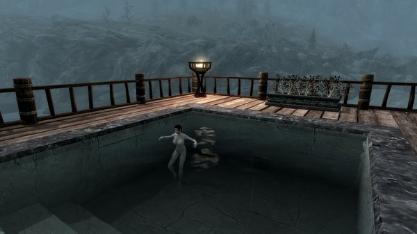 TESV 2020-11-29 17-52-18-34.jpg