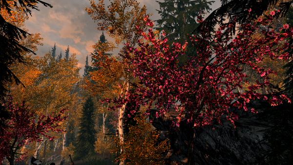 Elder Scrolls V  Skyrim Screenshot 2020.11.24 - 22.22.42.81.png