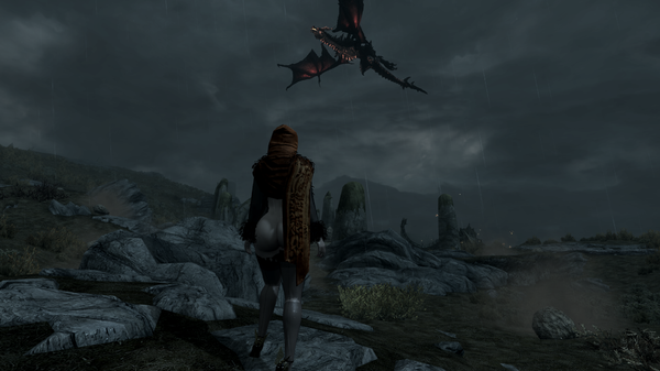 Зачем Нимулнира разбудил? 2020.11.18 - 16.38.28.29