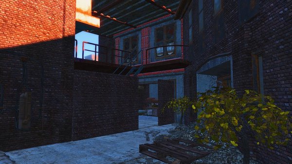 Новое поселение в гараже..