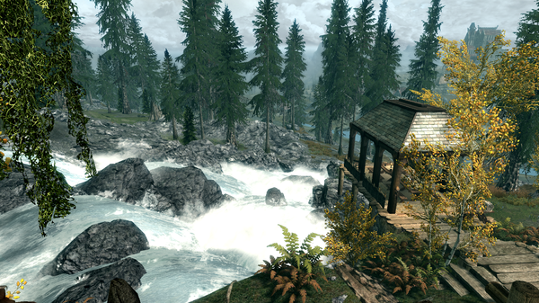 У домика 2.png