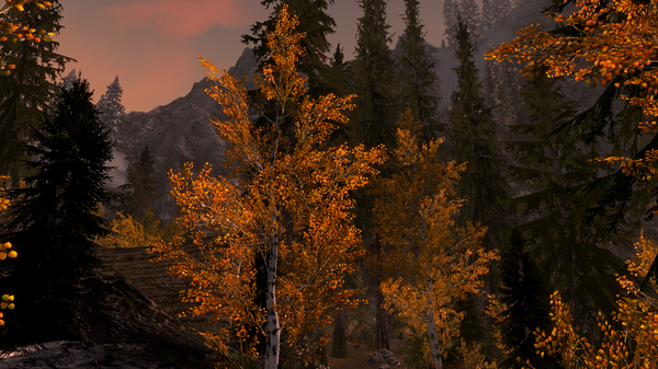 Elder Scrolls V  Skyrim Screenshot 2020.12.01 - 21.40.02.29.png