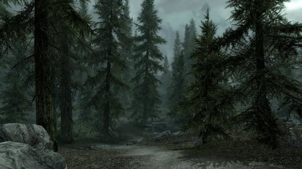 TESV 2020-12-13 17-23-35-07.jpg