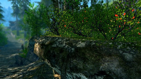 ..... SkyrimSE (сборка 6.0)