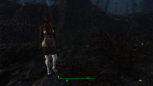 Fallout4 2021-01-01 22-45-28.png