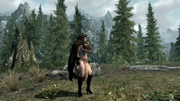 Вид на леса Фолкрита 2021.01.31 - 21.33.51.61