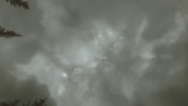 TESV 2021-01-31 17-29-17-80.jpg