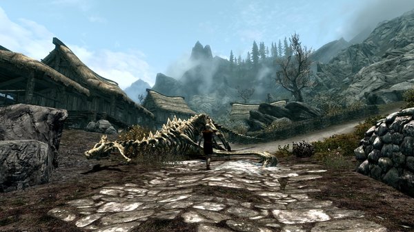 TESV 2021-01-23 18-09-08-10.jpg