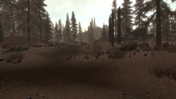 TESV 2021-01-06 16-57-37-74.jpg