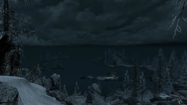 TESV 2021-01-07 15-13-02-18.jpg