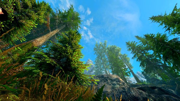 Пейзаж.. SkyrimSE (сборка 6.0)