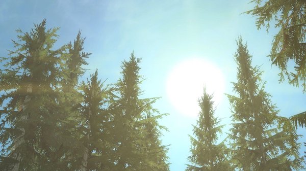 Яркое дневное солнце.. SkyrimSE (сборка 6.0)