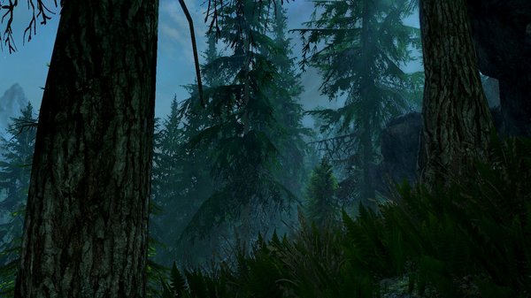 Ночной лес..