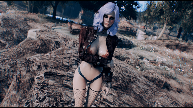 Fallout 4 Screenshot 2021.02.05 - 11.06.37.79.png