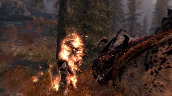 TESV 2021-02-23 17-54-28-80.jpg