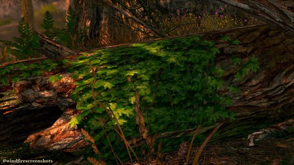 Плющь.. SkyrimSE (сборка 6.0)