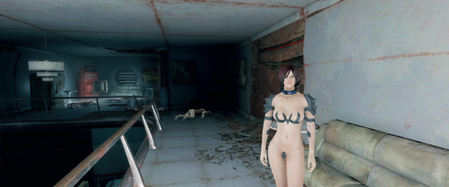 Fallout4 2020-11-11 00-19-21.png