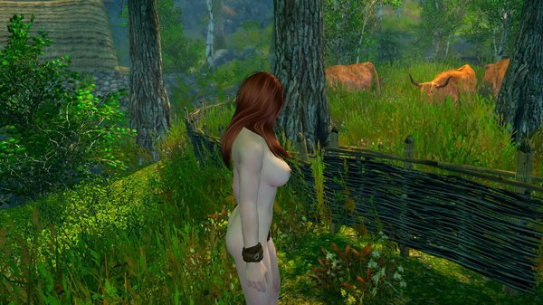 В деревне... SkyrimSE (сборка 6.0)