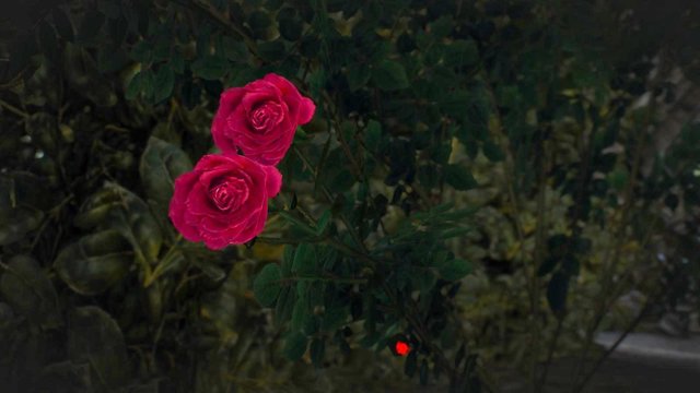 witcher3 2020-06-21 22-29-47-17.jpg