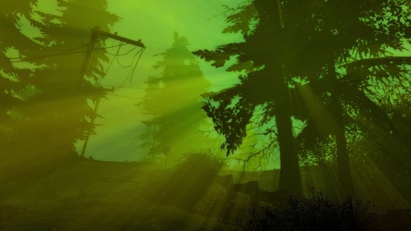 Радиактивный пейзаж.. Fallout-4 (Сборка 6.5)