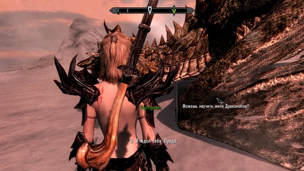 TESV 2021-04-24 18-37-10-17.jpg