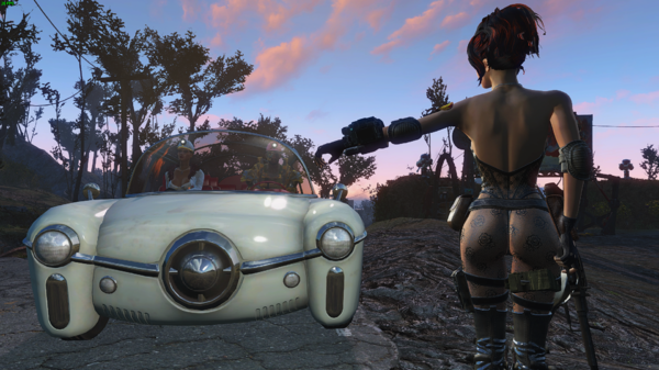 Жена водителя:-"Делай вид, что ты её не видишь".